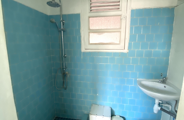 IMMEUBLE CENTRE VILLE DE POINTE A PITRE