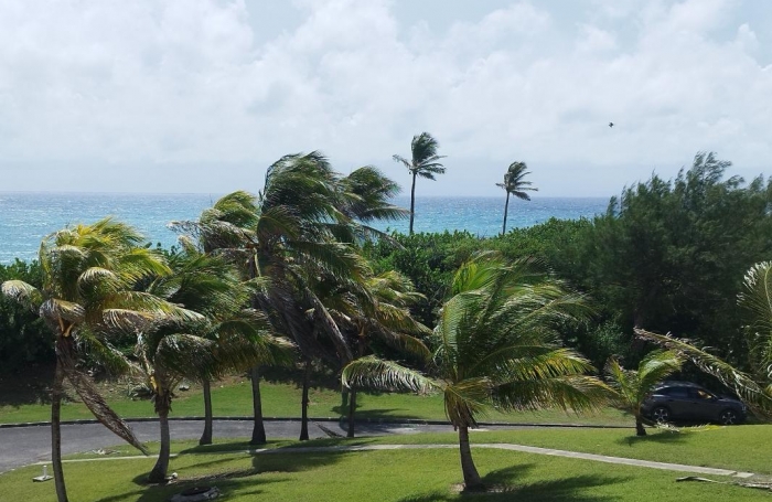 Vente Appartement 19.22m&sup2; 1 pi&#232;ce Saint François