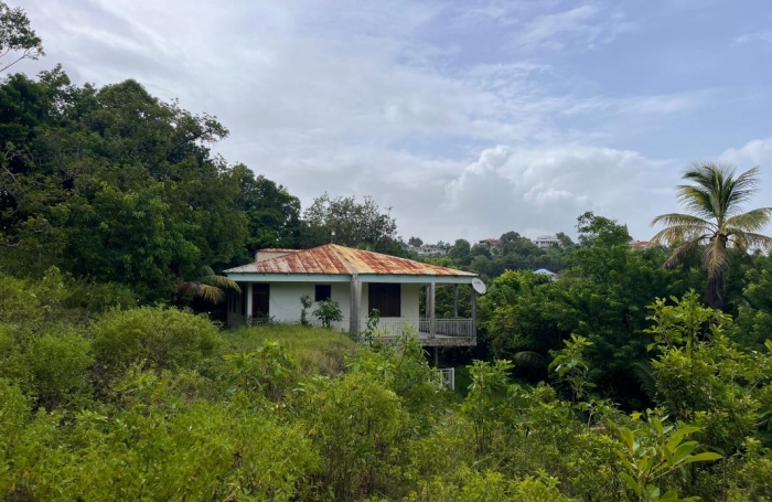 Vente Maison 97190