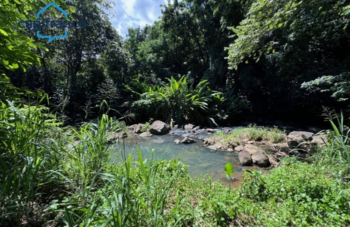 Vente Terrain 23960m&sup2; Sainte Rose