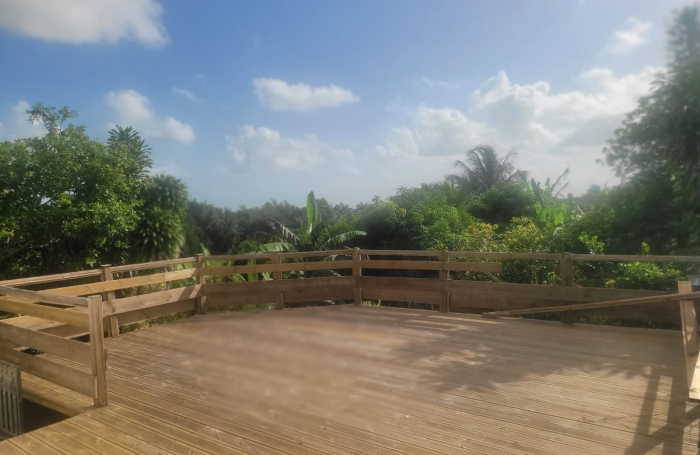 Maison individuelle à Lamentin (97129)   Un havre de paix à la campagne