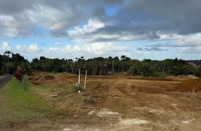 Vente Appartement 643m&sup2; 1 pi&#232;ce Petit-Bourg