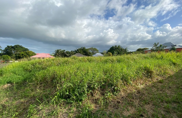 Beau terrain viabilisé de 940m2 à la vente à Sainval Sainte Rose.