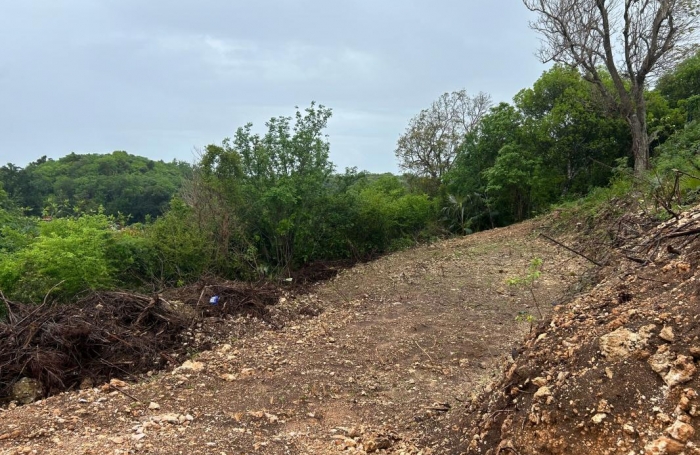 Vente Terrain 1010m&sup2; Le Moule