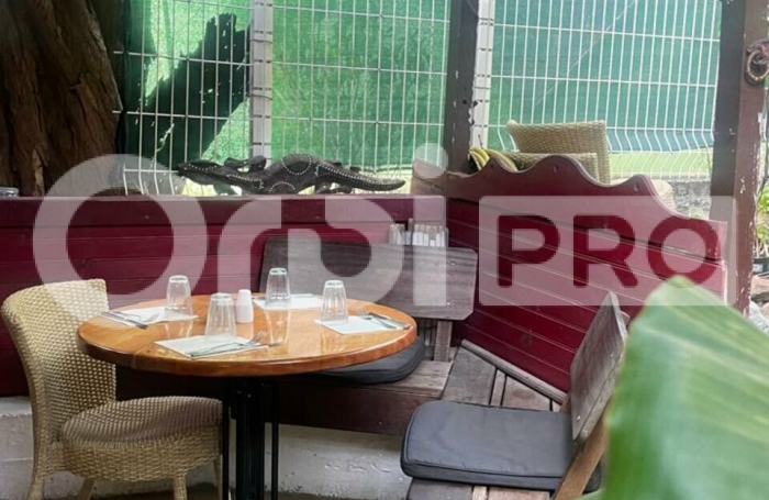 &#127869;&#65039; À VENDRE : Fonds de commerce – Restaurant – Terre-de-Haut, Les Saintes