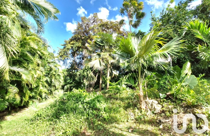 Vente Divers 195m&sup2; 5 pi&#232;ces Les Abymes