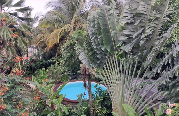 Villa au charme Créole T3  + T2 Indépendant & Piscine   BOUILLANTE