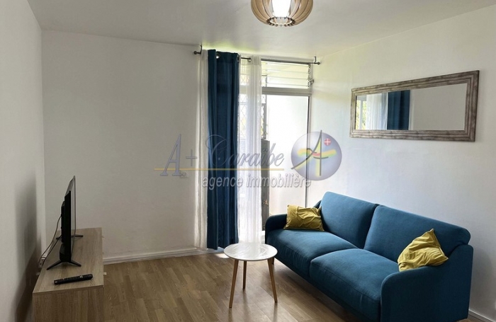 Location Appartement 97139
