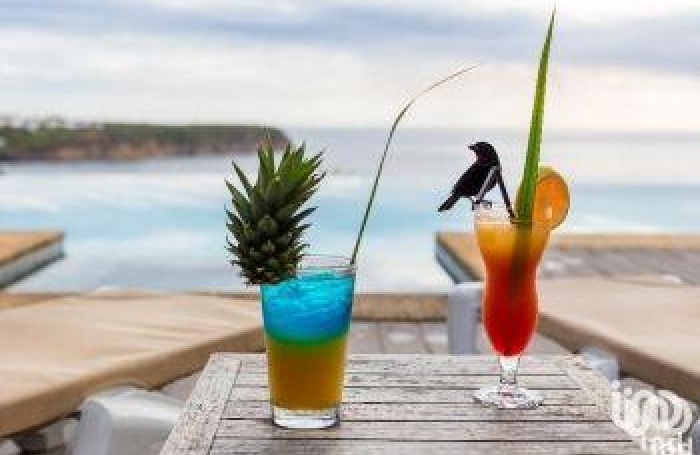 Vente Local commercial 11303m&sup2; Deshaies