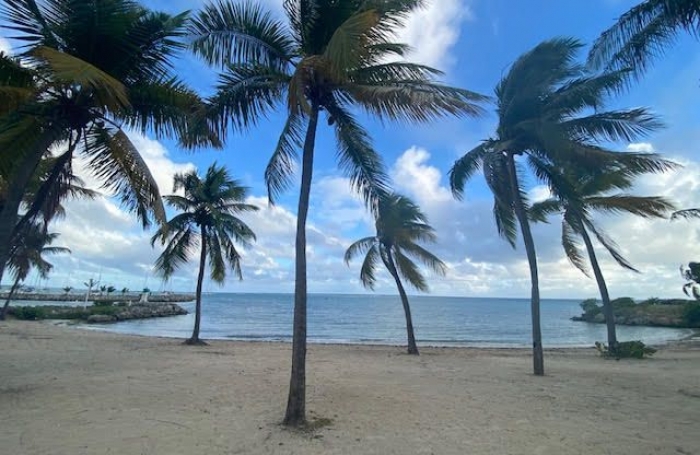 Location Appartement 29m&sup2; 2 pi&#232;ces Saint François