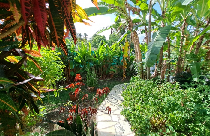 Location Appartement 