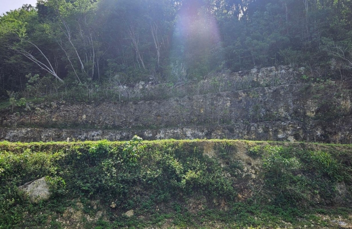 Vente Terrain 1000m&sup2; Gosier