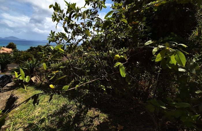 Vente Maison 44m&sup2; 3 pi&#232;ces Trois Rivières