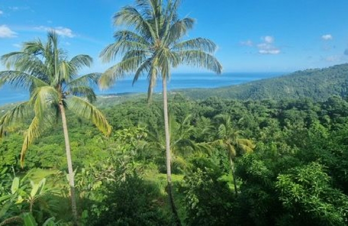 Vente Maison 188m&sup2; 6 pi&#232;ces Vieux Habitants