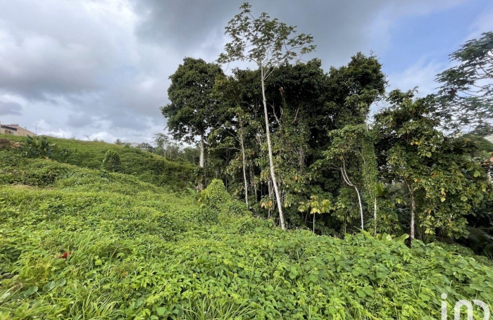 Vente Maison 95m&sup2; 4 pi&#232;ces Petit-Bourg