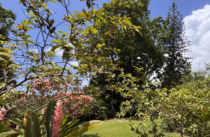 Exclusivité sur le Lamentin spacieuse villa de 5 pièces à vendre