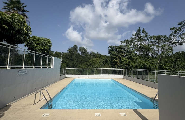 BEL APPARTEMENT T2 RENOVE RESIDENCE AVEC PISCINE PLAISANCE