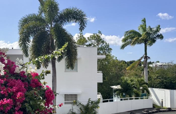 Vente Appartement 97139