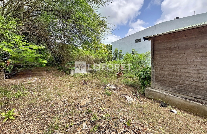 Vente Terrain 801m&sup2; Anse-Bertrand