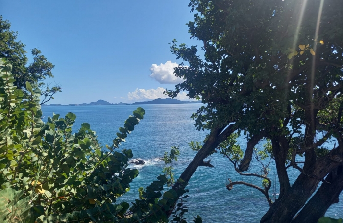 Vente Appartement 97141