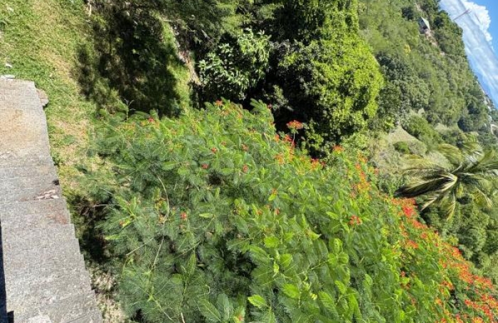 Vente Maison 250m&sup2; 9 pi&#232;ces Gosier