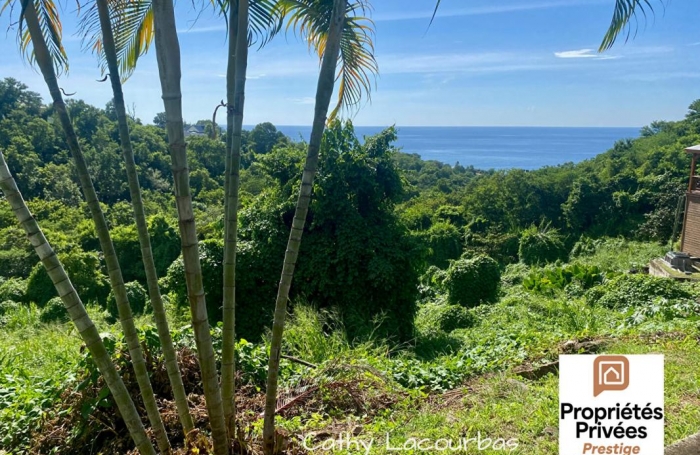 Vente Terrain 7709m&sup2; Bouillante