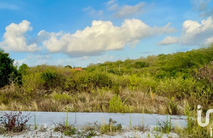 Vente Terrain 500m&sup2; Anse-Bertrand