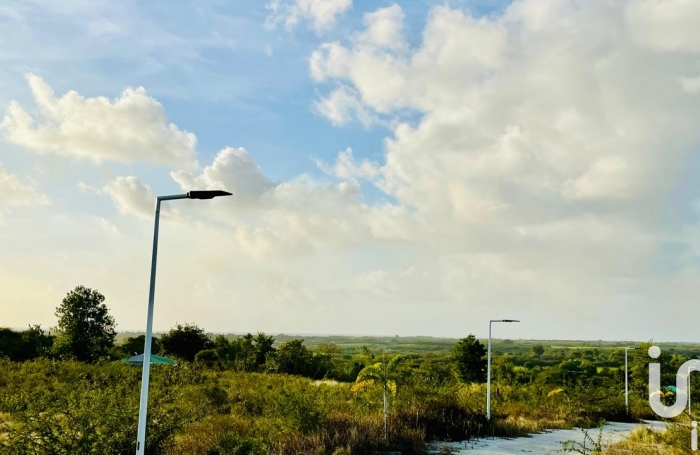 Vente Terrain 500m&sup2; Anse-Bertrand