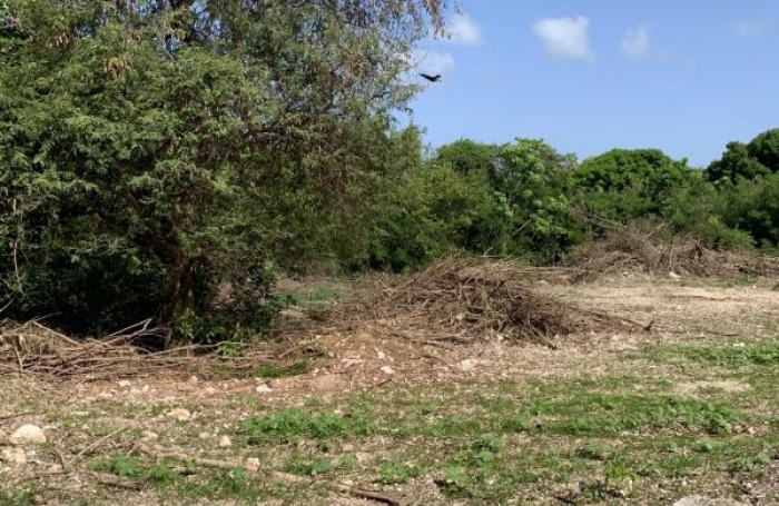 Vente Terrain 729m&sup2; Saint Fran&ccedil;ois