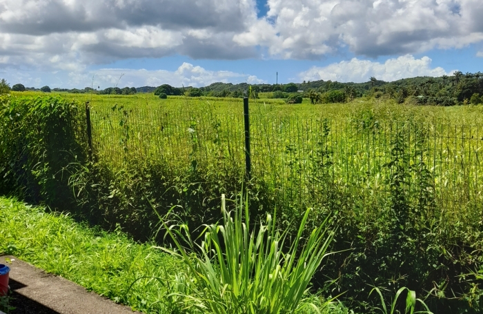 Vente Maison 136m&sup2; 4 pi&#232;ces Morne à l'eau