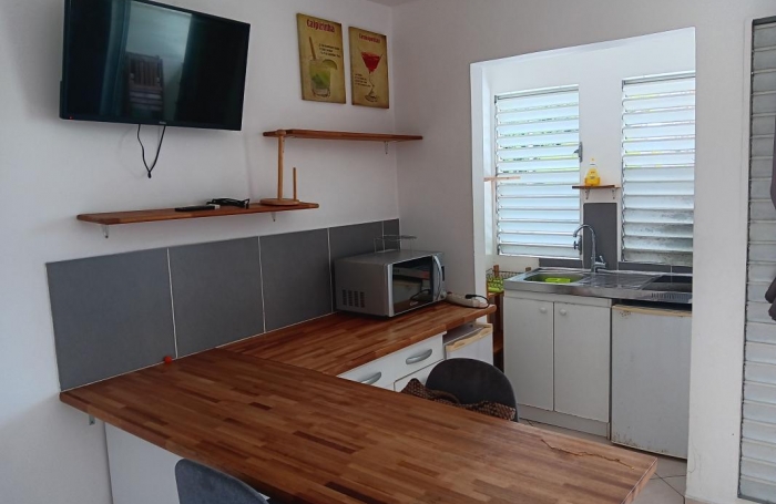 Location Appartement 97190