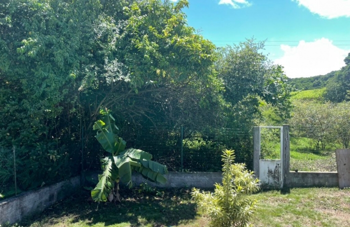 Location Maison 53m&sup2; 4 pi&#232;ces Sainte Anne