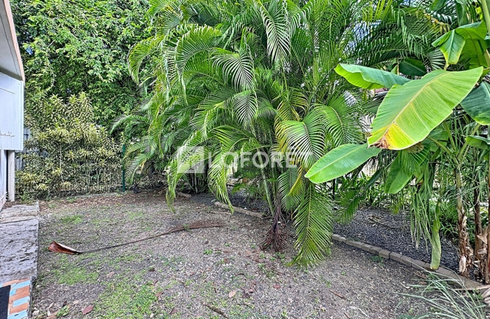 Location Appartement 70.29m² 3 pièces Le Moule