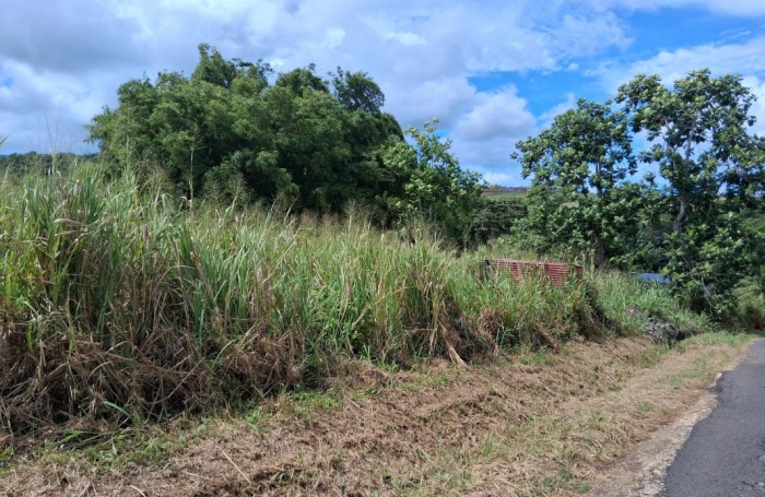 Vente Terrain 7291m&sup2; Sainte Rose