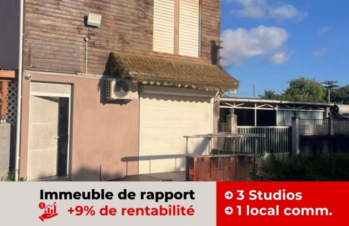 Vente Immeuble 97139