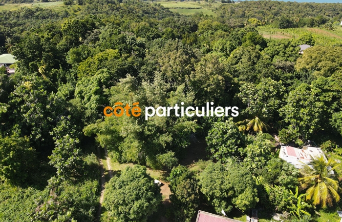 Vente Terrain 3391m² Sainte Rose