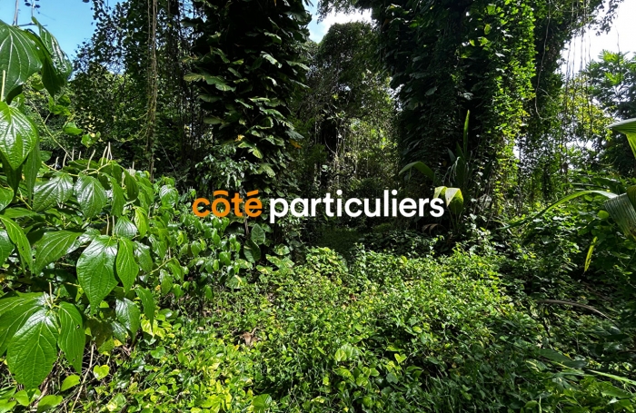 Vente Terrain 3391m² Sainte Rose