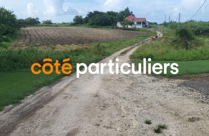 Vente Terrain 