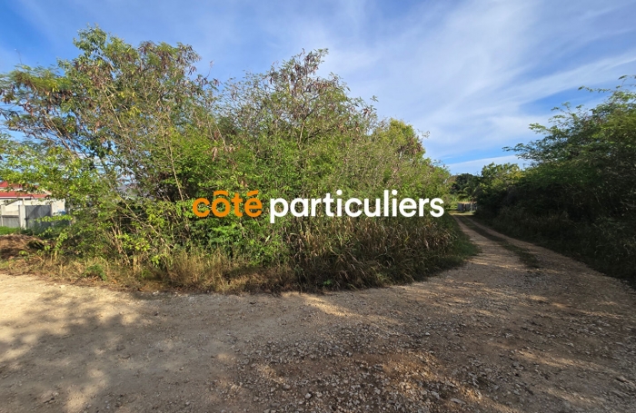 Vente Terrain 1139m² Anse-Bertrand