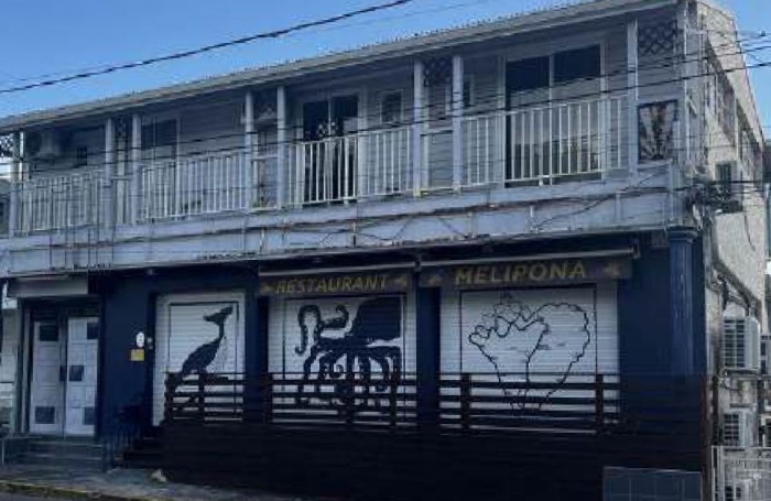 Vente Immeuble 97100