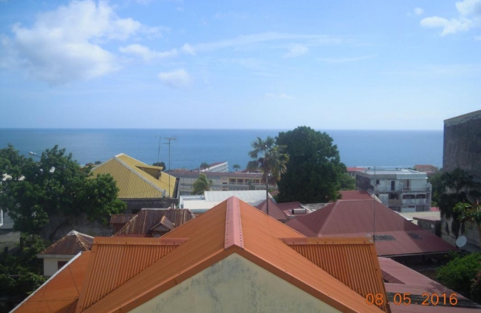 Vente Immeuble 260m&sup2; 13 pièces Basse-Terre