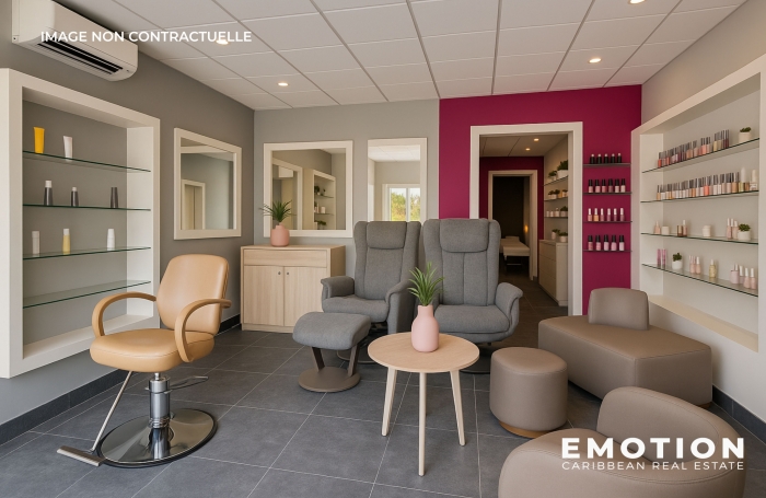 IMMEUBLE &Agrave; VENDRE   136m2   CENTRE-VILLE DE POINTE &Agrave; PITRE