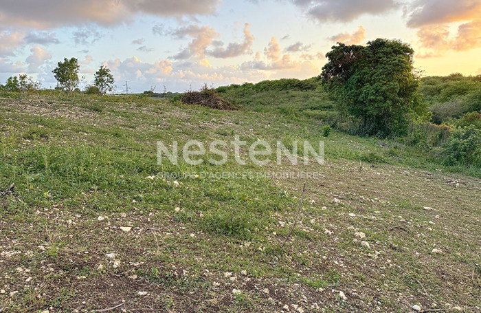 Vente Terrain 779.42m&sup2; Sainte Anne