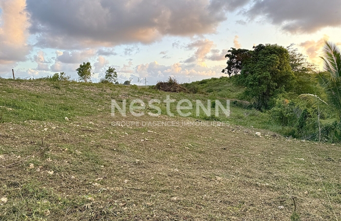 Vente Terrain 779.42m&sup2; Sainte Anne