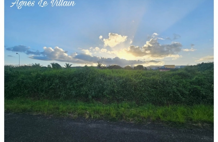 Vente Terrain 1006m&sup2; Sainte Rose