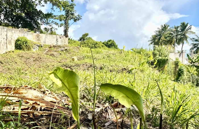 Goyave : terrain &agrave; vendre avec Longfort Immobilier