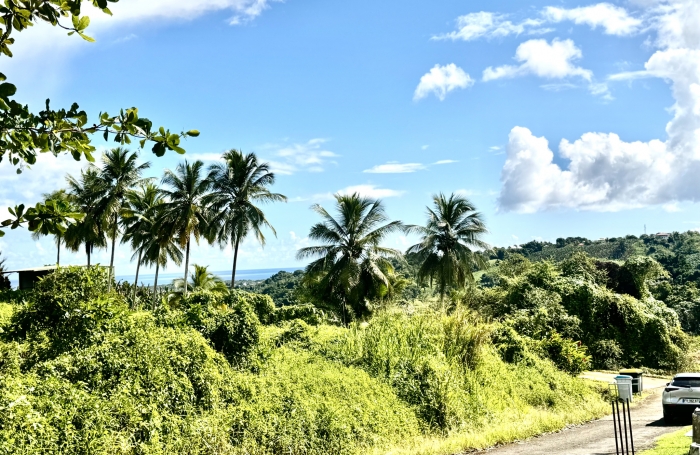 Goyave : terrain &agrave; vendre avec Longfort Immobilier
