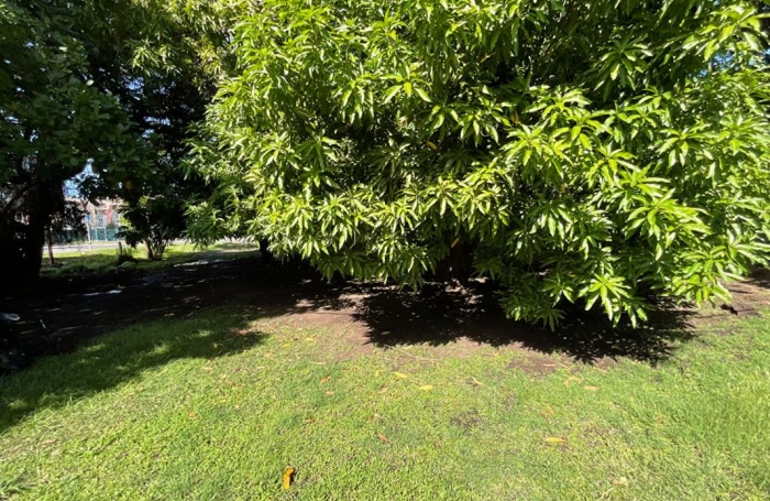 Vente Terrain 424m&sup2; Basse-Terre