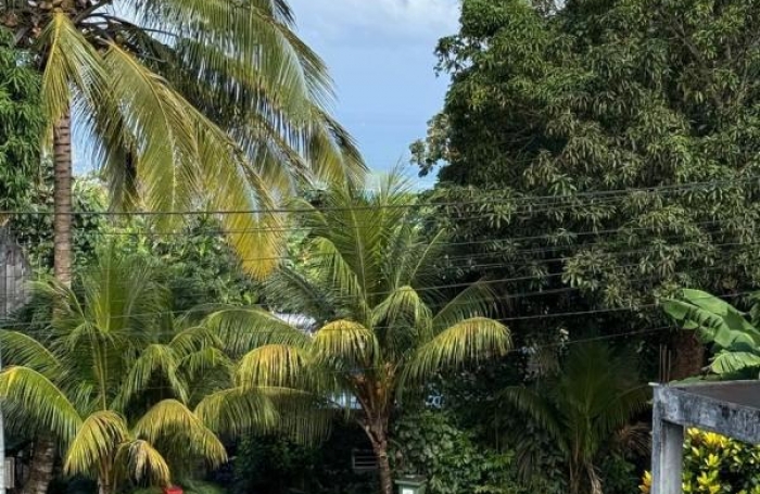 Vente Maison 220.84m&sup2; 6 pièces Deshaies