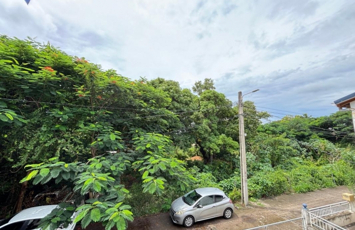 Vente Immeuble 169m&sup2; 6 pièces Basse-Terre